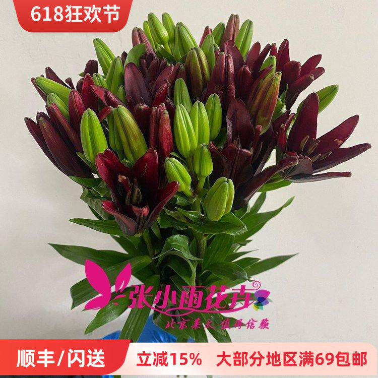 黑钻百合鲜花 多头亚百 暗红色花朵绽放一扎10枝 北京鲜花直批