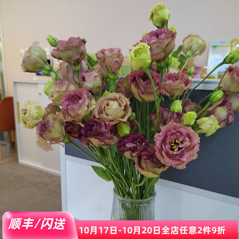 茶色龙胆鲜花新鲜洋桔梗10枝