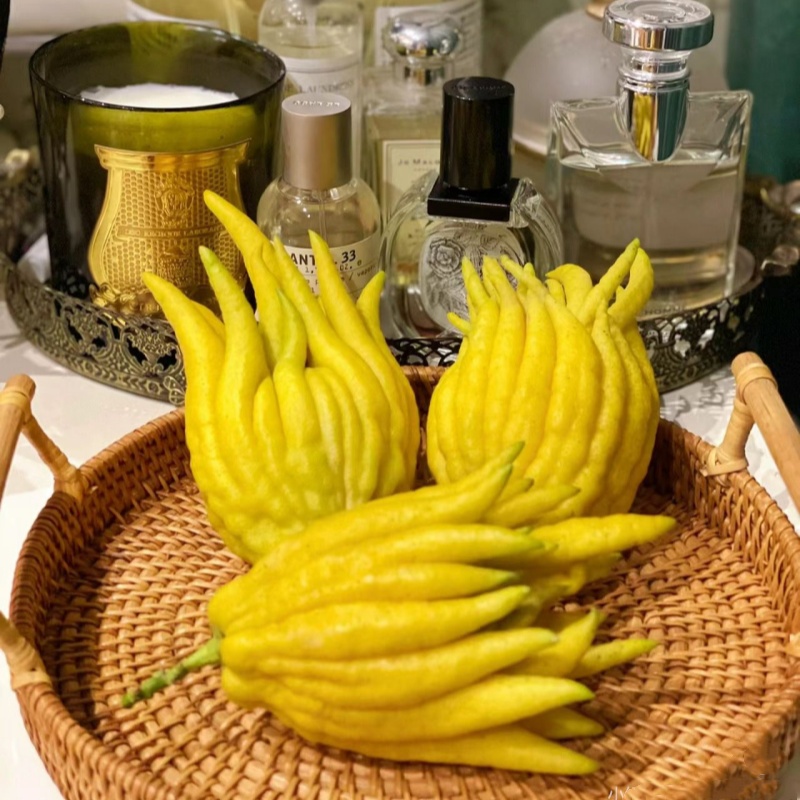 佛手柑鲜切室内摆件自然香薰观赏植物清供礼佛鲜果贡品北京速递