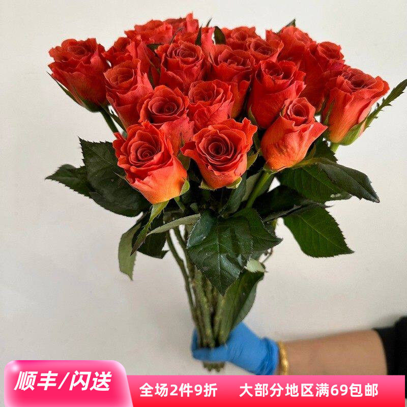 新品杏仁酒玫瑰鲜切花北京速递