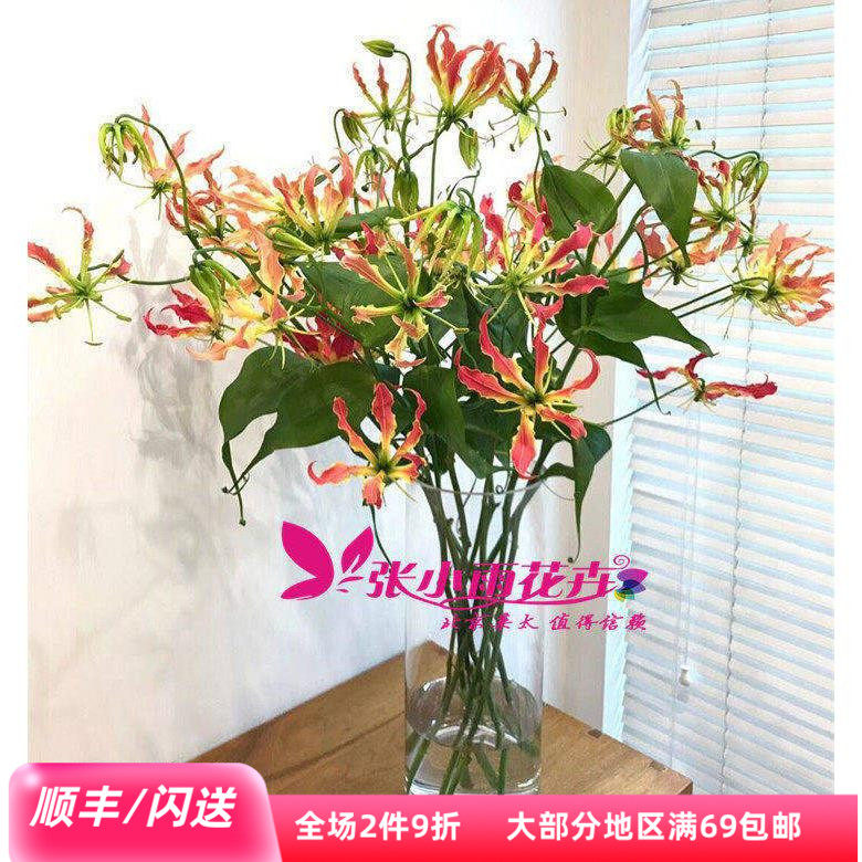 嘉兰花10枝鲜切花鲜花礼物