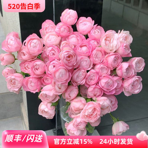 多头玫瑰鲜切花淡粉情人节礼物