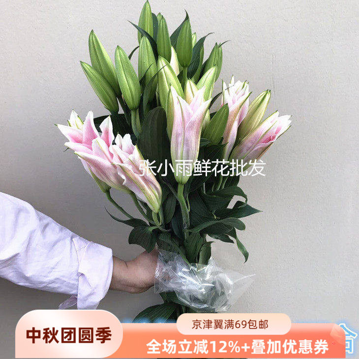 东北基地直供香水百合大朵顺丰