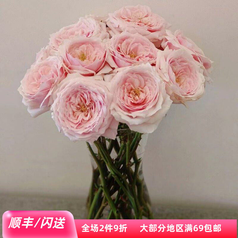 奥斯汀玫瑰鲜切花同城速递