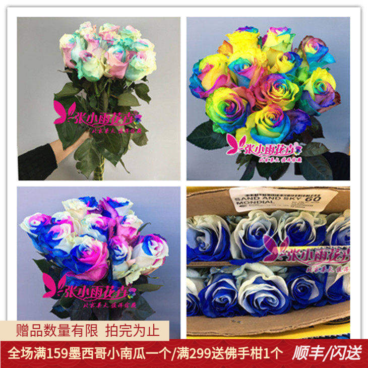情人节玫瑰鲜花多款颜色选择10枝