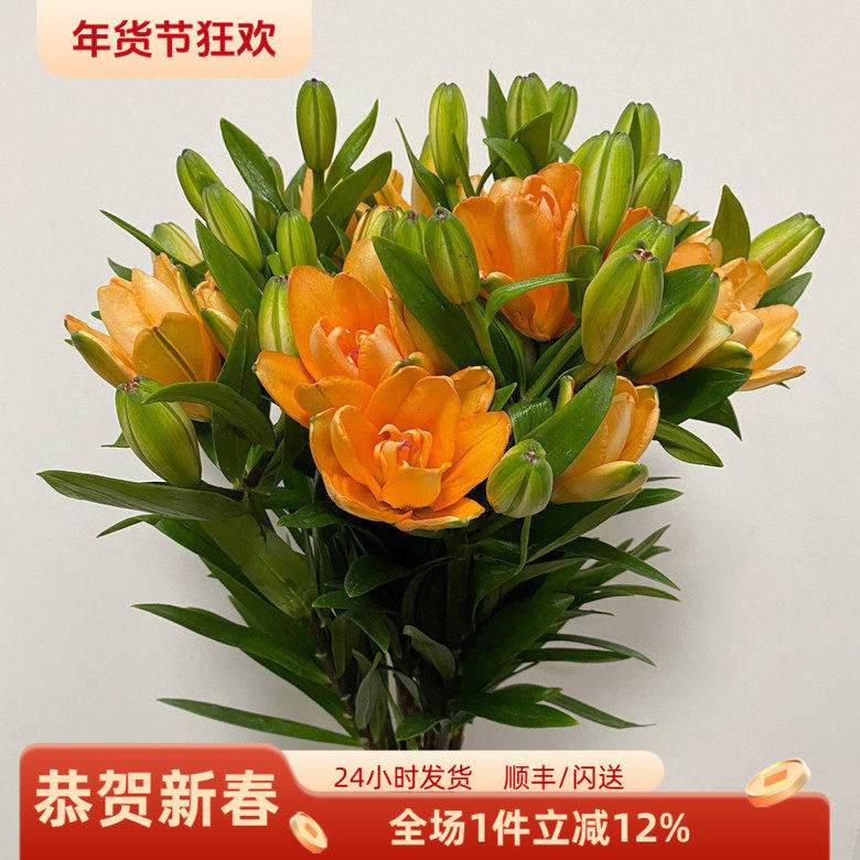 北京鲜花直送 小蜜蜂百合 橘色重瓣迷你花型春节家居水瓶插花