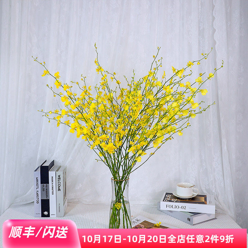 柠檬黄跳舞兰鲜花北京同城速递10