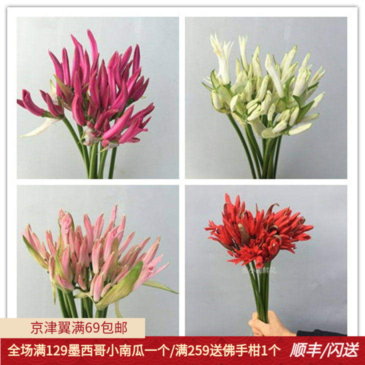 10枝石蒜彼岸花婚礼手捧花名贵花