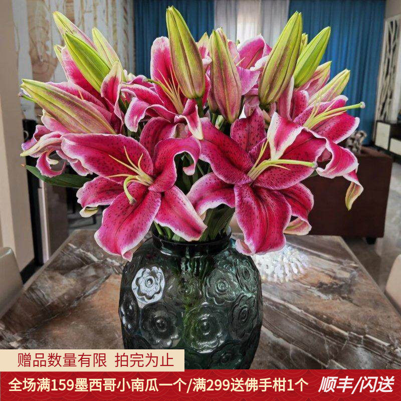 黑美人香水百合鲜花 大花朵10枝 办公室水养瓶插花节日礼物年宵花