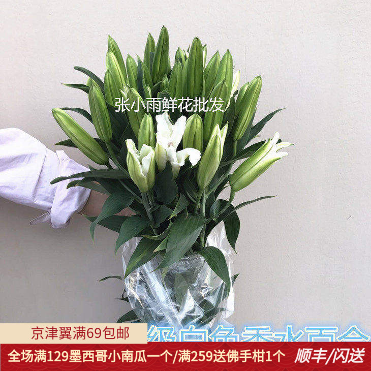 新鲜香水白百合鲜切花头大杆粗