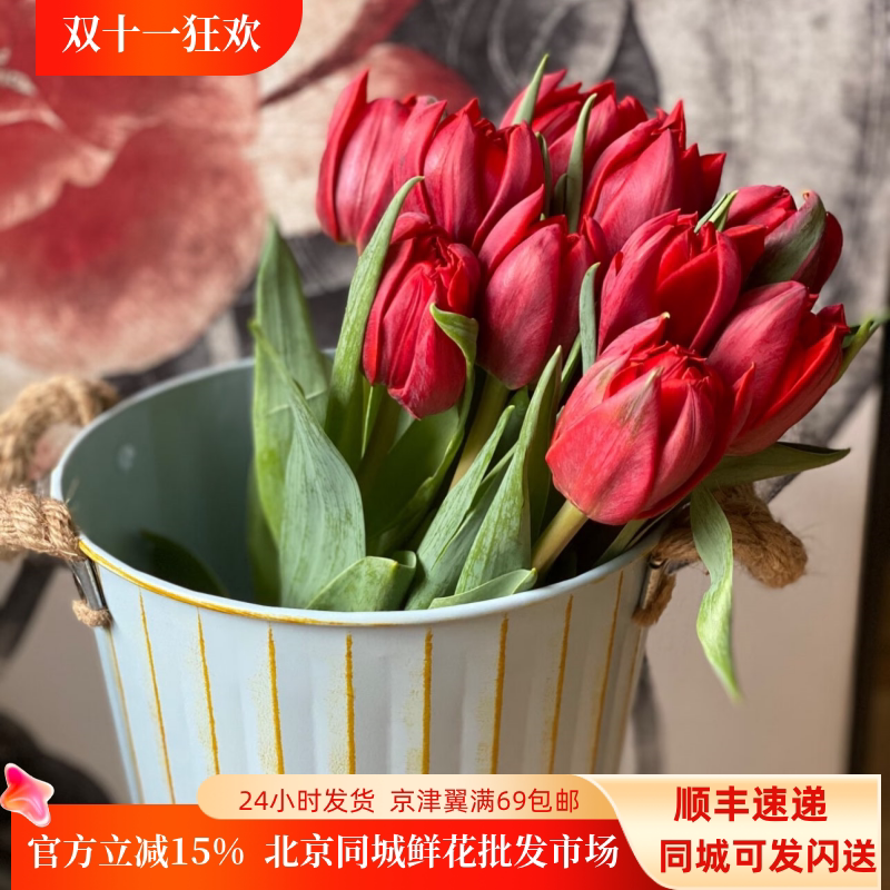 进口红色郁金香重瓣郁金香鲜切花高贵类花卉北京同城速递10朵