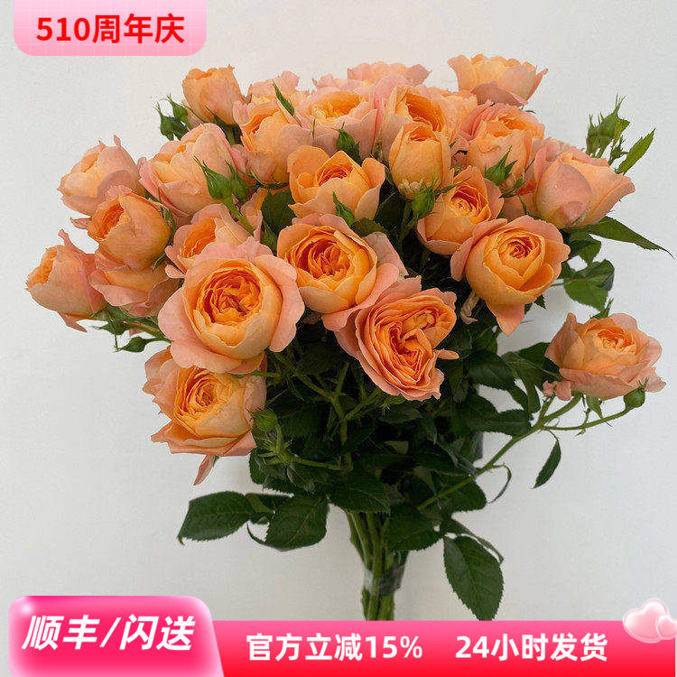 橘色多头泡泡玫瑰果汁阳台蔷薇鲜切花家用水瓶插花好养易开可闪送