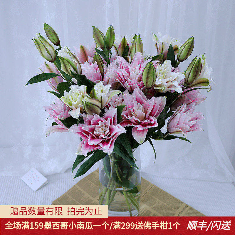 重瓣百合花白色粉色红色北京直批