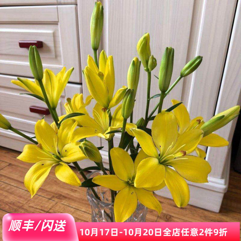 轻奢黄色亚百百合鲜花长花期