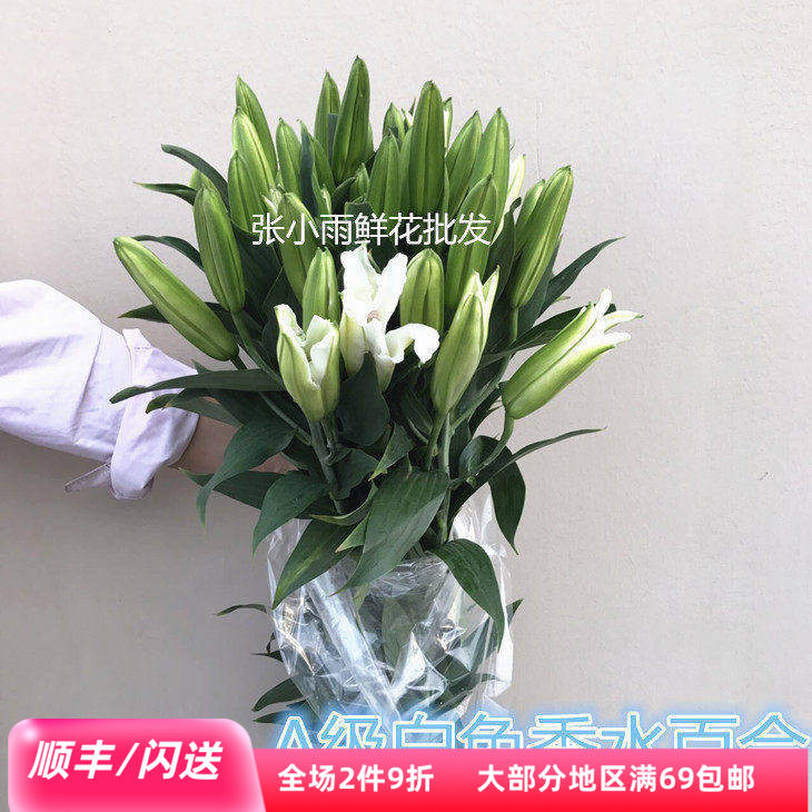 新鲜香水白百合鲜切花头大杆粗