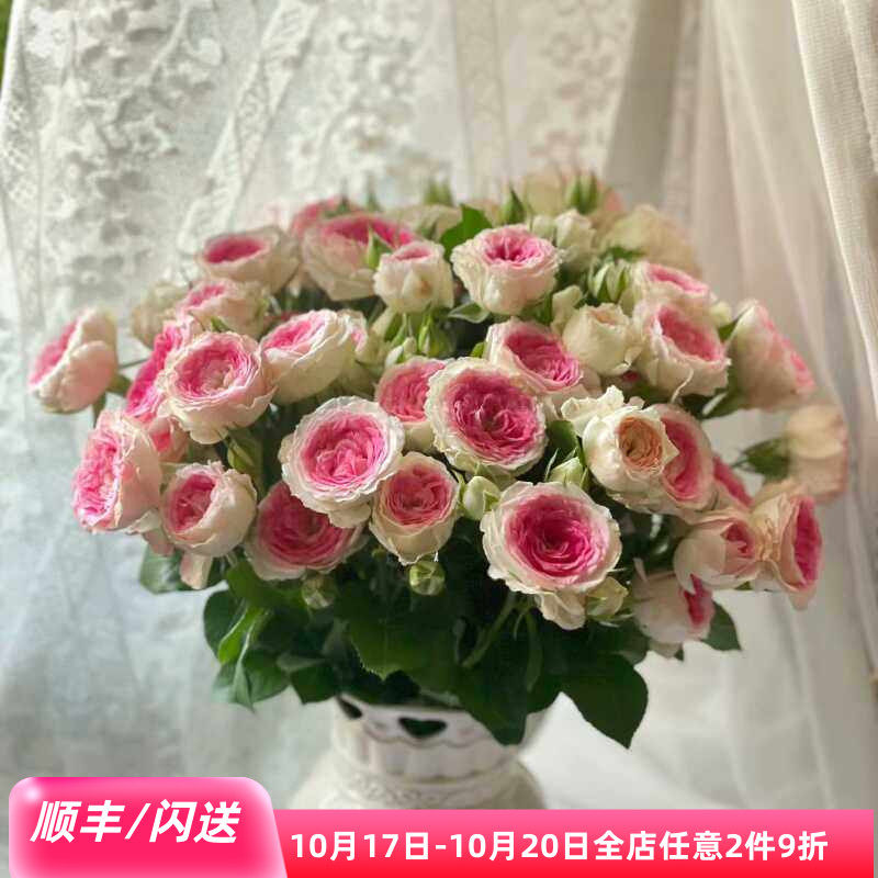 午夜魔法多头小玫瑰鲜切花顺丰