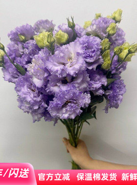 紫色波浪洋桔梗鲜切花 龙胆一扎8枝北京同城直送水瓶插花花艺美学