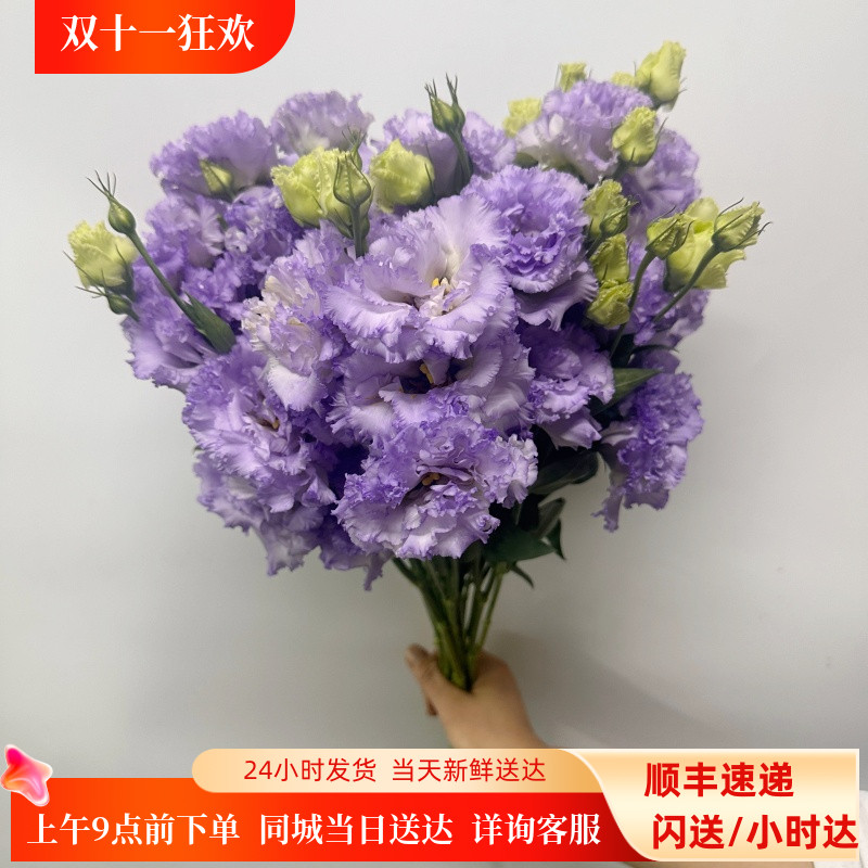 紫色波浪洋桔梗鲜切花 龙胆一扎8枝北京同城直送水瓶插花花艺美学