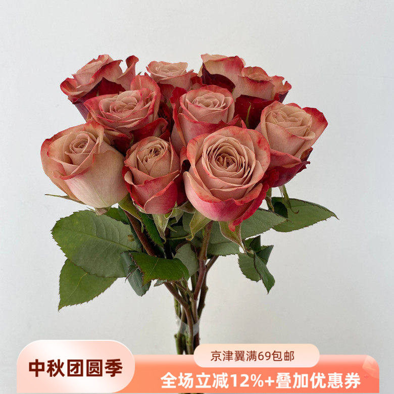 复古系20朵卡布奇诺玫瑰花婚礼