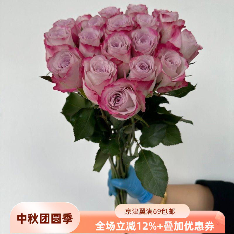 19朵气场玫瑰婚礼鲜花春节紫色