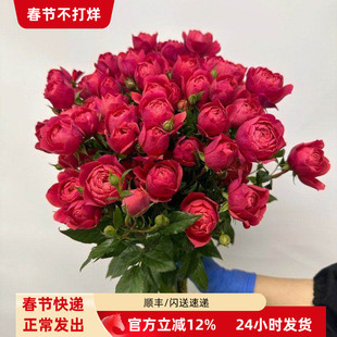 绝色果汁多头玫瑰 一束10枝 居家水瓶插花观赏好心情北京鲜花速递