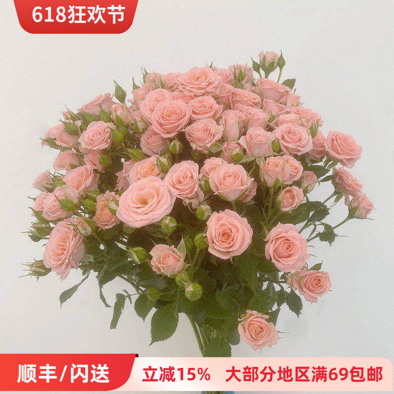 家用鲜花 水瓶插花 露露蔷薇多头小玫瑰少女粉娇嫩柔美 北京直达