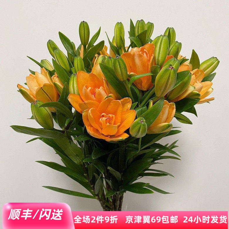 北京鲜花直送 小蜜蜂百合 橘色重瓣迷你花型春节家居水瓶插花