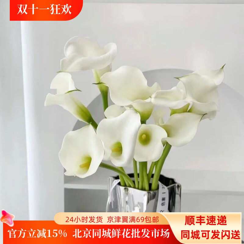 喇叭形海芋5枝家用瓶插花水养