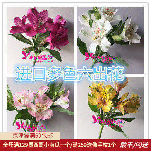 美好生活多色六出花家具摆设插花