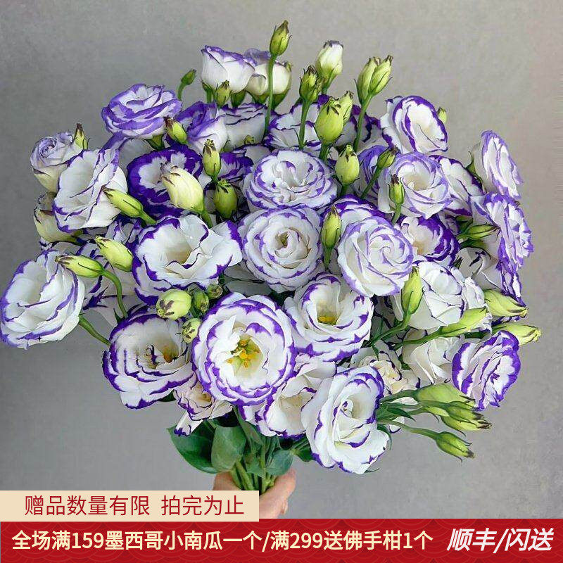 多色洋桔梗10枝龙胆鲜切花插花