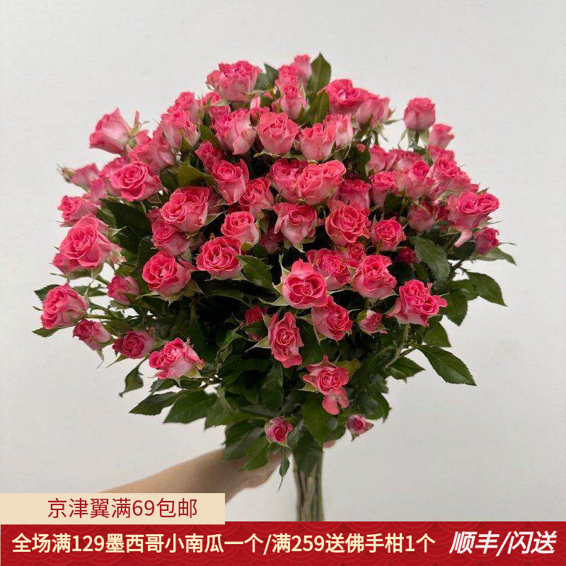 星河湾多头玫瑰花居家水瓶插花