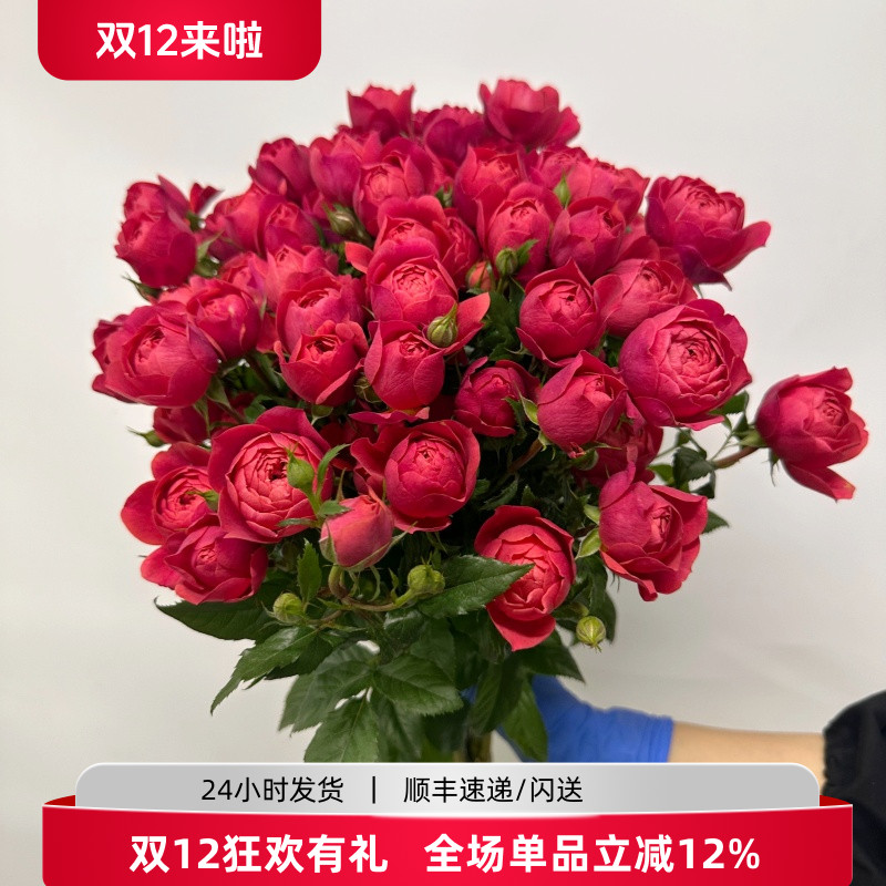 新鲜绝色果汁多头玫瑰一束10枝