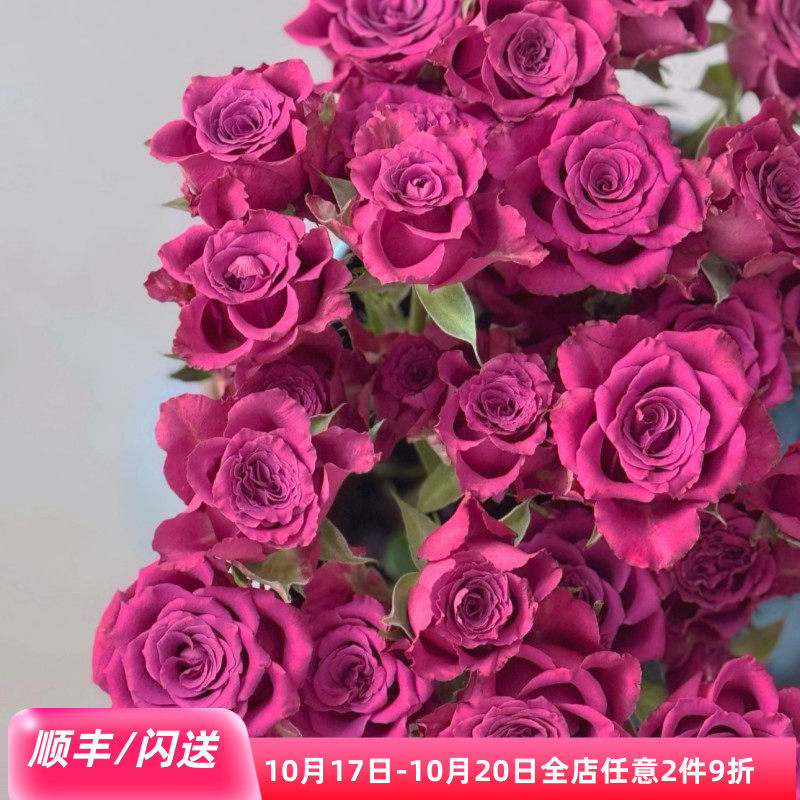 新鲜蓝莓玫瑰鲜切花10枝同城速递