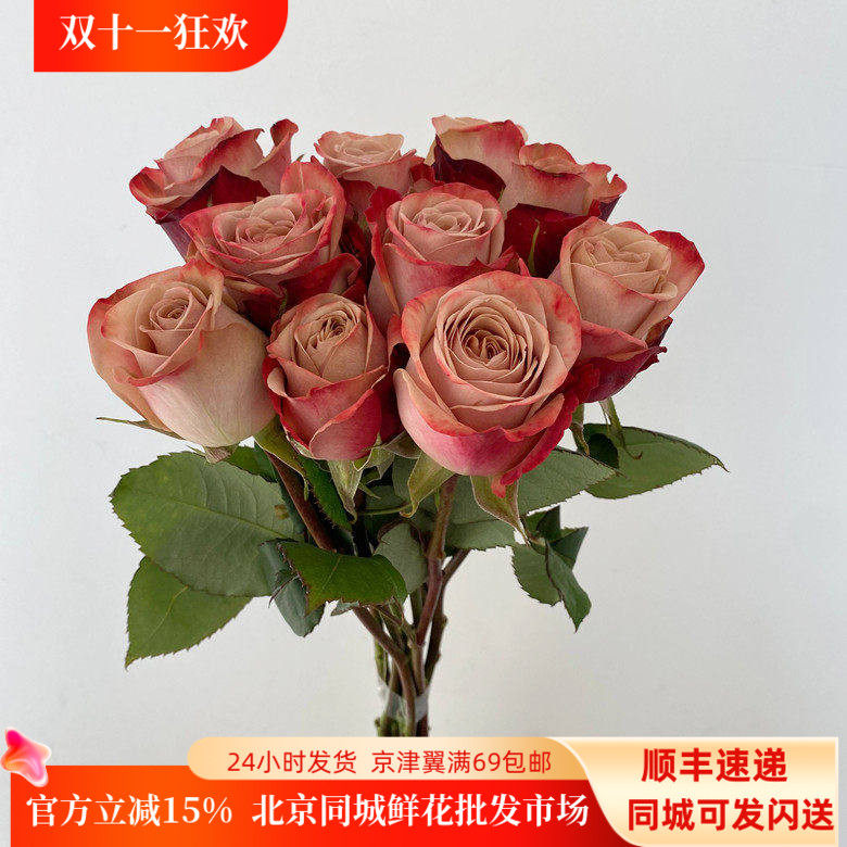 复古系20朵卡布奇诺玫瑰花婚礼