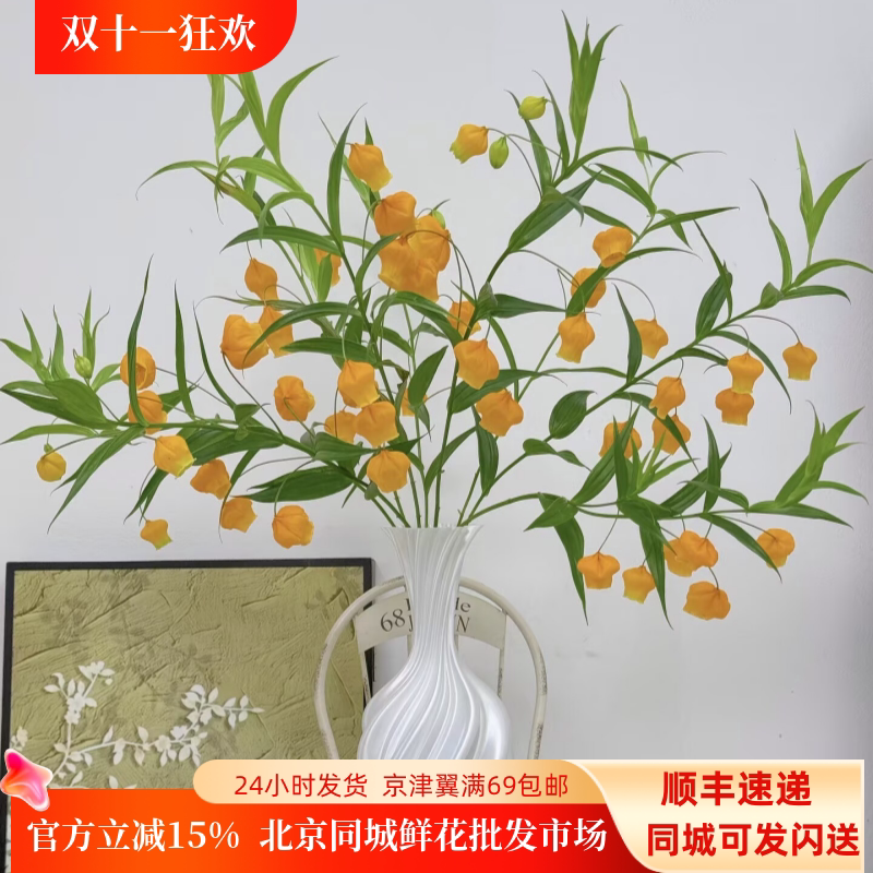 进口宫灯百合鲜切花10枝优雅