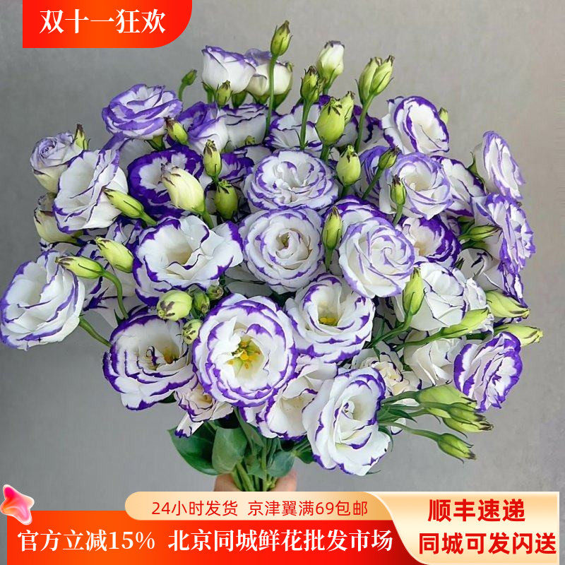多色洋桔梗10枝龙胆鲜切花插花