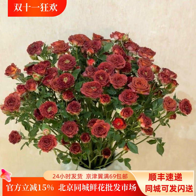 巧克力泡泡多头玫瑰鲜切花