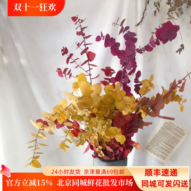 荷兰进口彩色尤加利叶 吸色叶材可做干花 高端鲜花配叶 花束礼盒