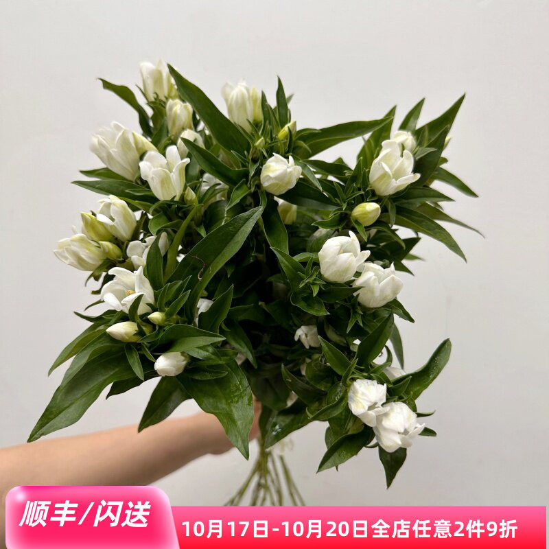 日本龙胆鲜切花高级花材10枝同城