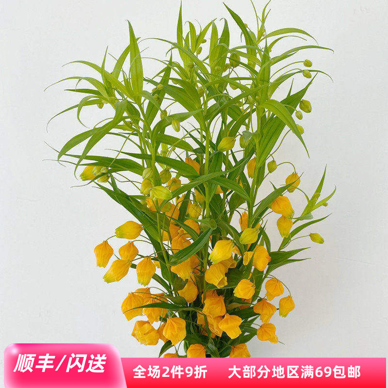 10枝宫灯百合花艺插花婚礼用花