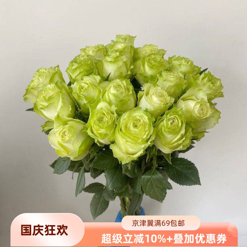 19朵薄荷茶玫瑰小乔玫瑰插花