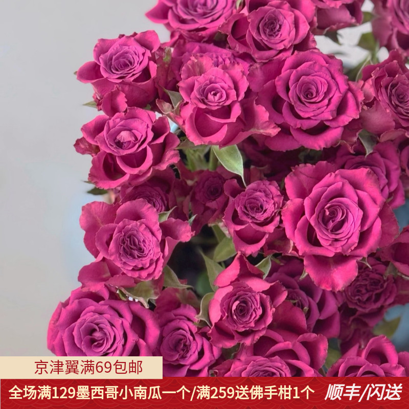 新鲜蓝莓玫瑰鲜切花10枝同城速递
