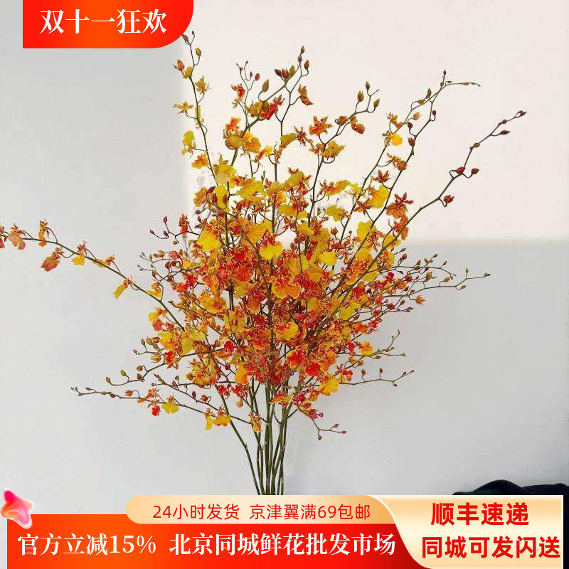 秋色跳舞兰鲜切花家庭办公室