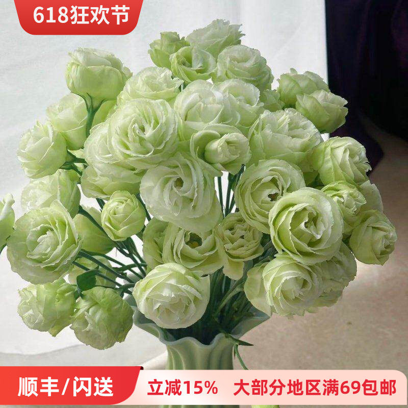 新鲜绿色龙胆鲜花洋桔梗一束10
