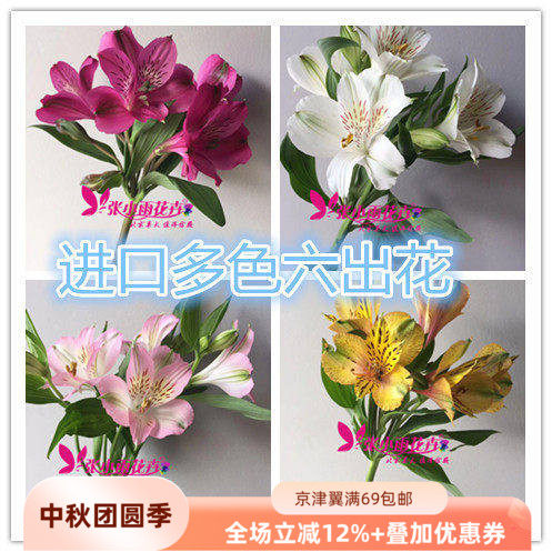 美好生活多色六出花家具摆设插花