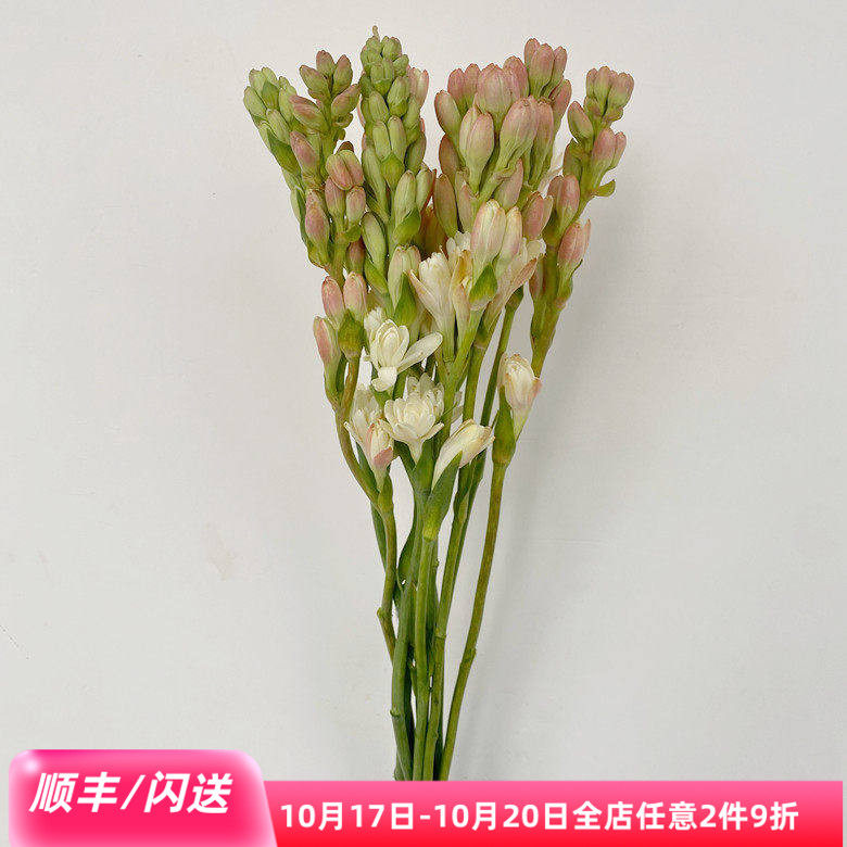恋咔晚香玉夜来香鲜花速递