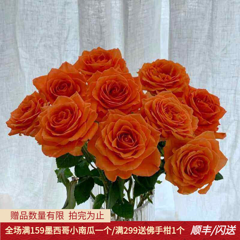 大花头国王日玫瑰鲜花新鲜婚礼