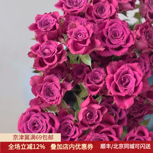 新鲜蓝莓玫瑰鲜切花10枝同城速递