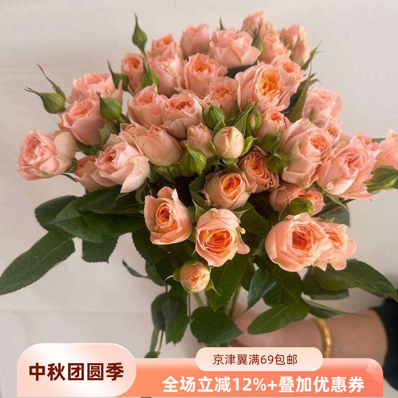 米奇多头玫瑰鲜切花北京速递