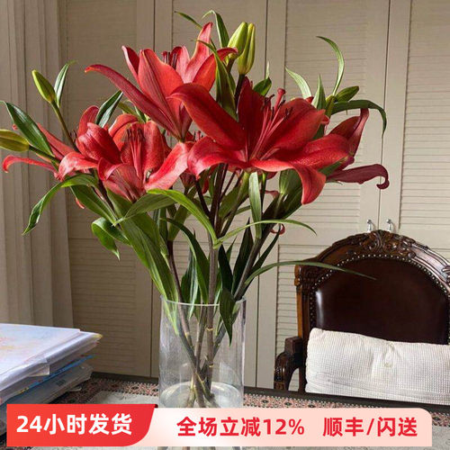 亚百暗红色花朵10枝多头鲜切花